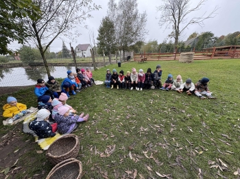 4e5220eb-b06d-40f1-9029-d31560310283