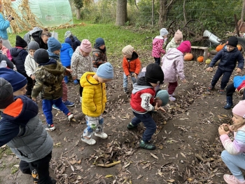 feab7d25-6b24-4269-805c-a5ab462e362e