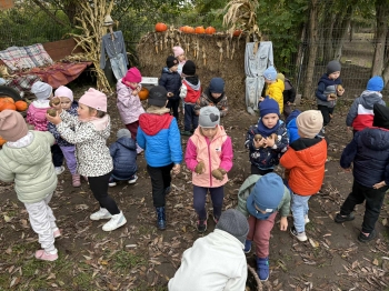 8f2ab06b-6909-4715-b042-0bb7ad63cad9