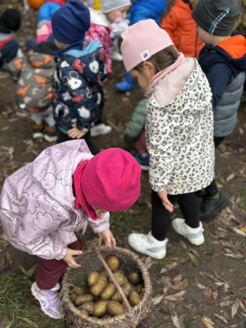 08b47f63-31a1-435f-a6fc-845f49f625c9