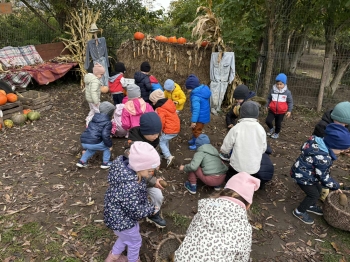 0458a7ed-7d33-409e-92f6-f36f7b8948d5