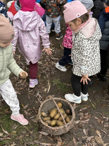 67434c71-e27a-4a6c-90a7-76ddcadd8d43