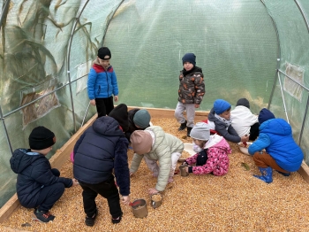 55adb332-6216-4095-9364-1391482269d4