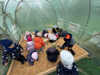 d23cfaf9-a556-485f-b75b-77998dffabbf