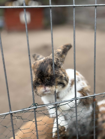 68f6cd4b-adef-4597-b804-738036ea4572