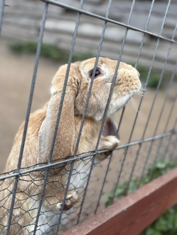 0a989d29-7f3a-4fb4-9b1f-0bd6638d768f