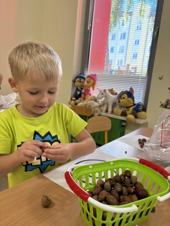 2c19e7ef-7a0f-4f94-b802-7a1d5035f179