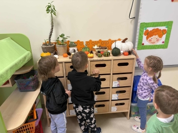 41d8a620-a472-484b-831b-76ac132905f2