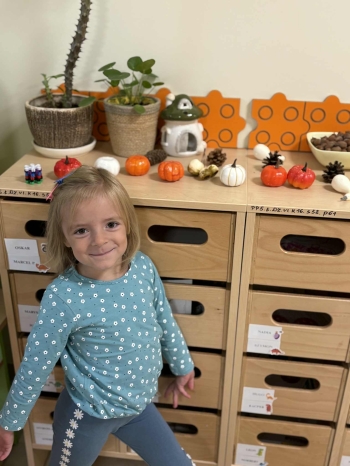 68191c91-e144-4497-bffd-a80e527d343c