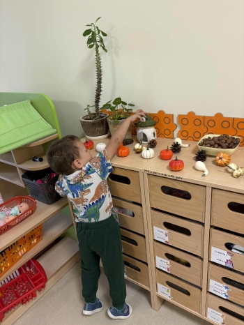 1dac13ea-25a7-4669-b844-d14f60286951