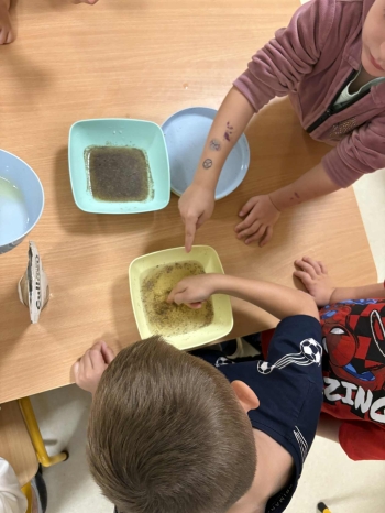 239c0f8e-c0a8-4da3-b82b-344fc40cb5d8