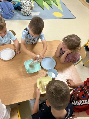 812ed8e5-19c4-4ece-a4e3-5d6d396310b9