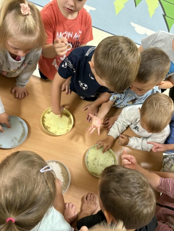 407a58fb-d090-4784-8176-ad4a444d7a2f