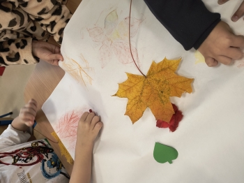 IMG_20251022_095416930