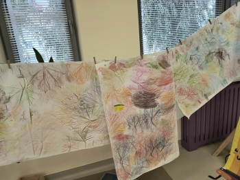 IMG_20251022_112044687_HDR