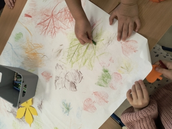 IMG_20251022_095903571