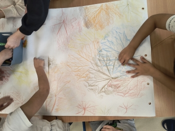 IMG_20251022_095509737