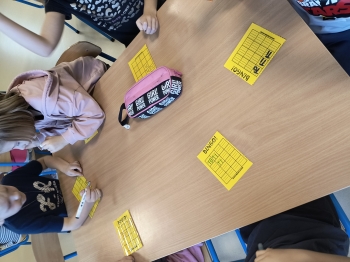 IMG_20251119_134446587