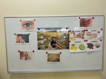 3ceda8ce-38a4-44fd-9acd-fdd670c591b8.jfif