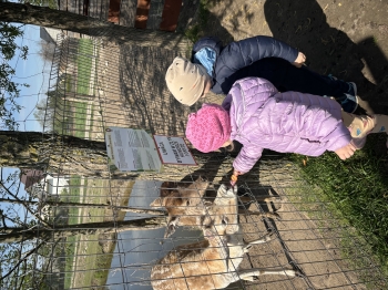 IMG_2940.jpeg