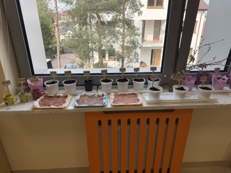 Zakładamy zielony ogródek